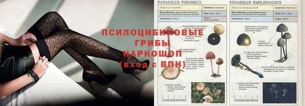 стафф Алексин