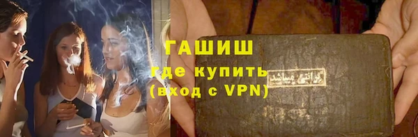 стаф Алзамай