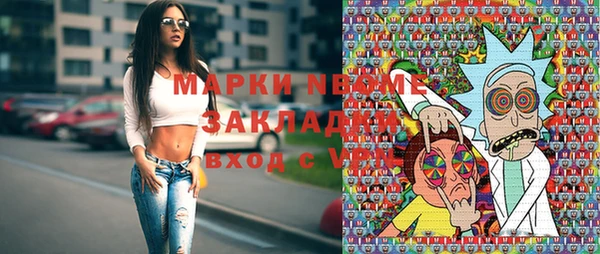 стаф Алзамай