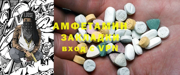 стаф Алзамай