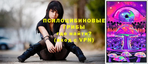 первитин Алексеевка